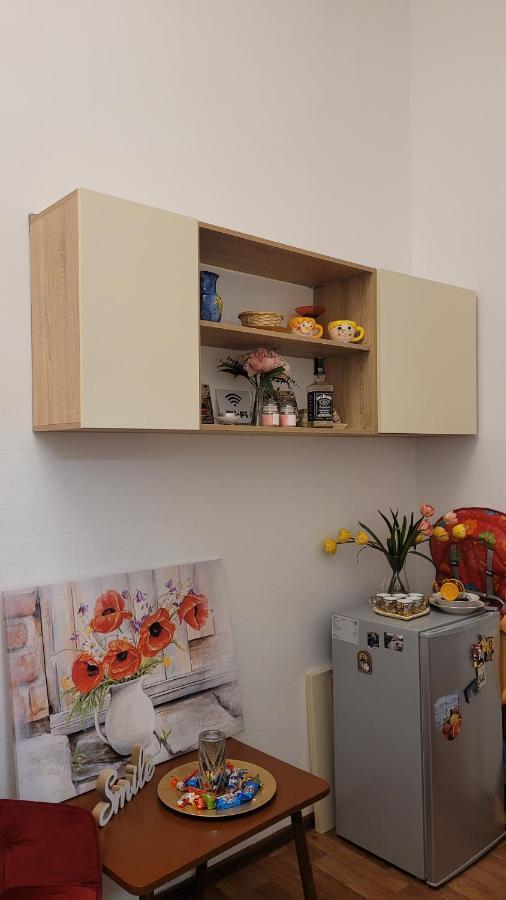 Opera Victoriei Residence - Ultracentral Cozy Accommodation ทิมิชัวรา ภายนอก รูปภาพ